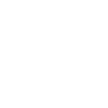 Handshake Icon